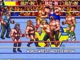 WWF WrestleFest