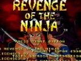 Revenge of the Ninja