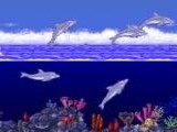 Ecco the Dolphin